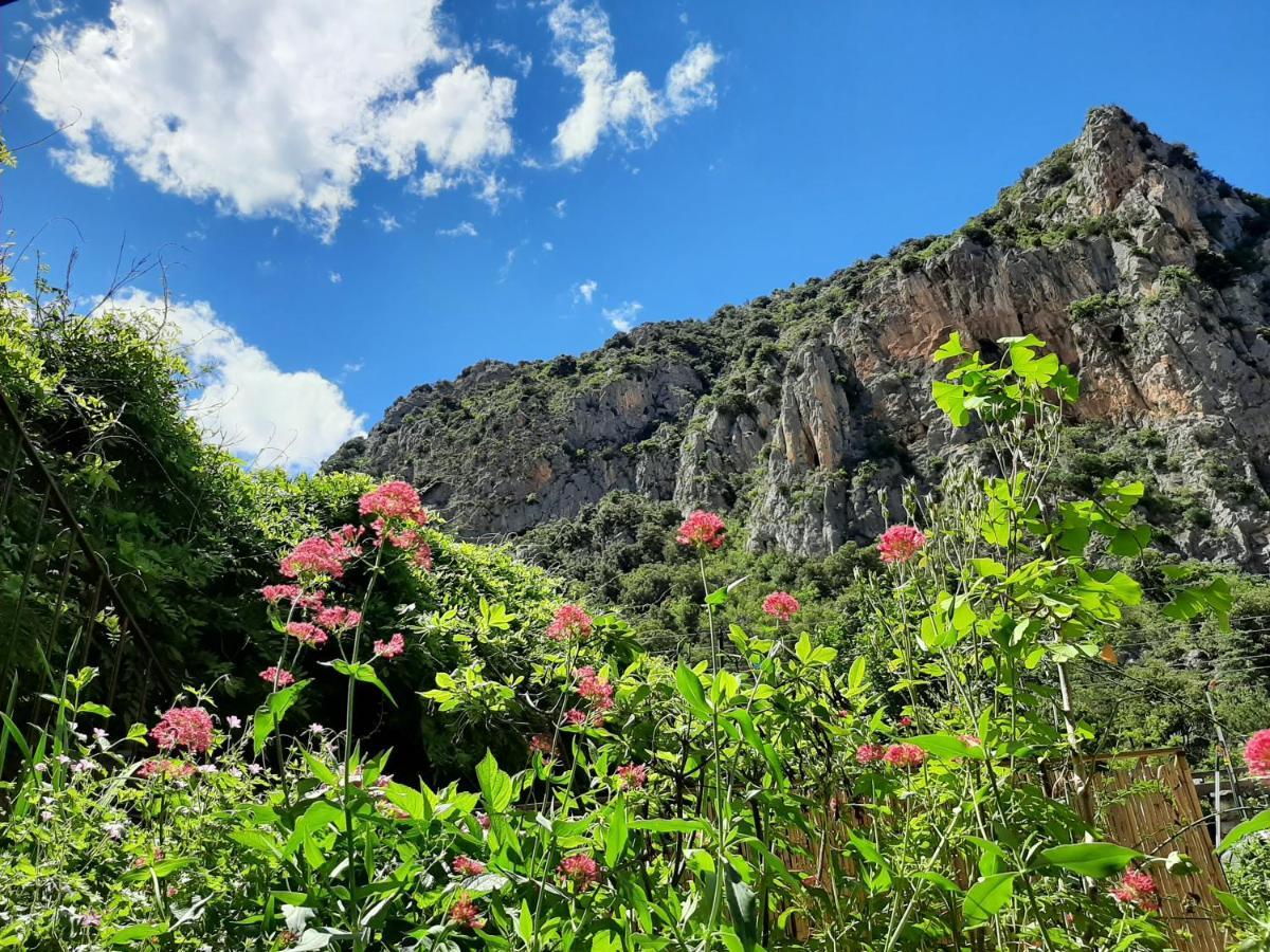 Les Chambres Chouettes Villefranche-de-Conflent Exteriér fotografie